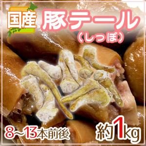 AGFプロフェッショナル 給茶機用パウダー茶 AGFほうじ茶 60g×20袋
