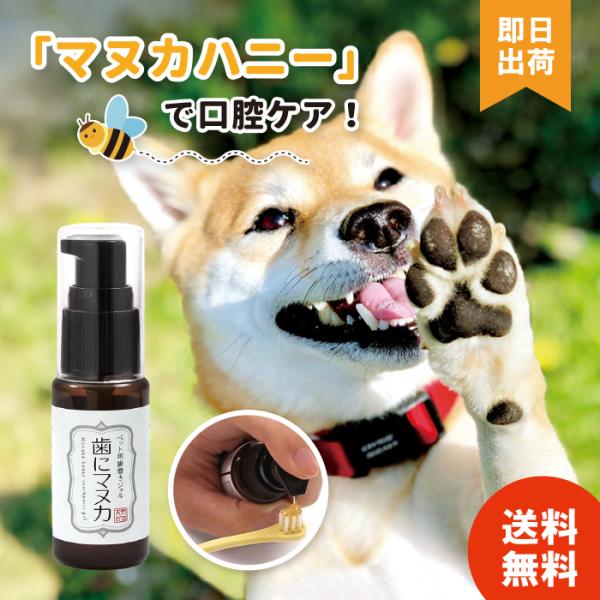 【業界最安値 / 複数購入でさらにお得】 歯にマヌカ 天然365 ペット用歯磨きジェル 30g 天然...