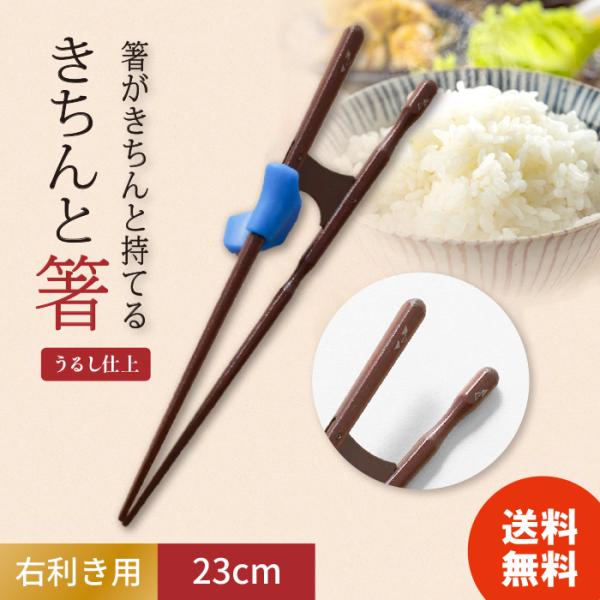 イシダ きちんと箸 ブルー 23cm 矯正箸 しつけ箸 日本製 右利き用 ちゃんと箸 若狭箸