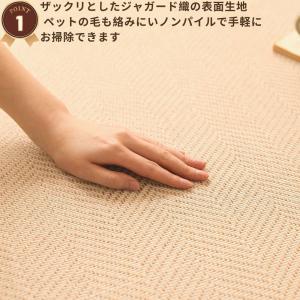 ラグ 洗える ヘリンボーン 撥水 大判 220...の詳細画像3