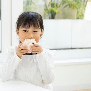 尾西 携帯おにぎり 【 鮭・わかめ・五目おこわ...の詳細画像3