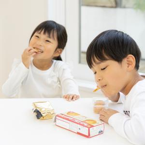 尾西のライスクッキー(8枚入) 防災食 お菓子...の詳細画像1
