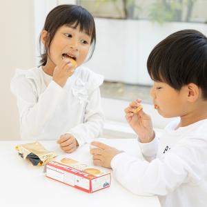 尾西のライスクッキー(8枚入) 防災食 お菓子...の詳細画像2
