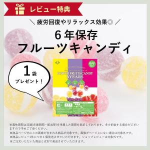 非常食 36食 非常食セット パン 5年 おに...の詳細画像2