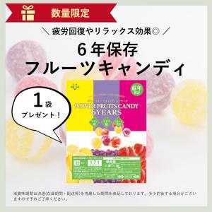 非常食 21食 非常食セット パン 5年 おに...の詳細画像2