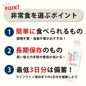 純天然アルカリ保存水 500ml 長期保存水 ...の詳細画像2