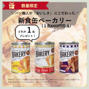 防災グッズ 緊急防災32点セット 防災セット ...の詳細画像2