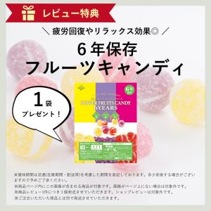 防災グッズ 防災セット 1人用 セット 食料 ...の詳細画像2