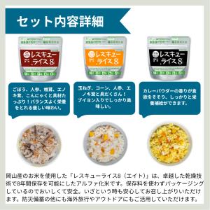 防災グッズ 非常食 買い替えセット 2人用 1...の詳細画像4
