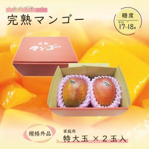 【規格外品】特大玉×2玉入り　家庭用完熟マンゴー