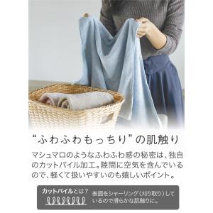 シービージャパン CB JAPAN カラリアー...の詳細画像3