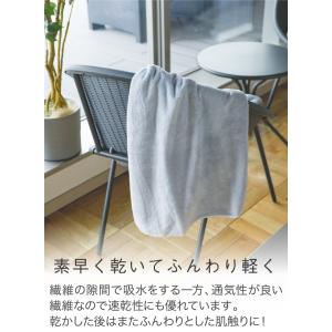 シービージャパン CB JAPAN カラリアー...の詳細画像2