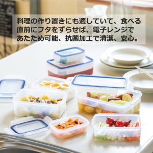 (まとめ買い!運賃別)岩崎工業 Lustrow...の詳細画像3