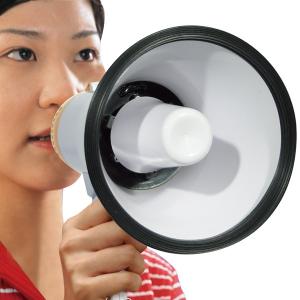 スマイルキッズ 録音できるハンドメガホン AH...の詳細画像5