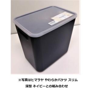ヒマラヤ やわらかBOXスリム用 フタ クリア...の詳細画像2
