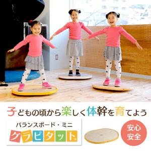 送料無料 サーフィン トレーニング 陸トレ バランスボード/INDO BOARD
