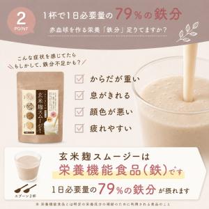 置き換え ダイエット スムージー 玄米麹 はじ...の詳細画像4