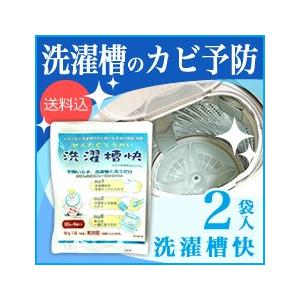 ★洗濯槽快×2袋入(ネットなし)追跡メール カビ...の商品画像