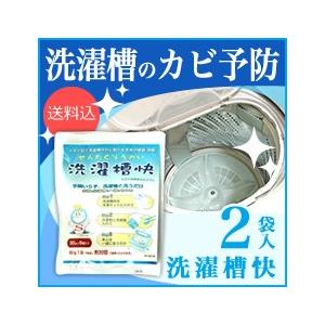 洗濯槽快×2袋入（ネットなし）メール便送料無料 カビ防止 除菌 消臭 部屋干し 梅雨 洗濯槽クリーナ...