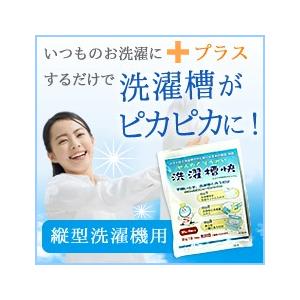 ★洗濯槽快×2袋入(ネットなし)追跡メール カ...の詳細画像2