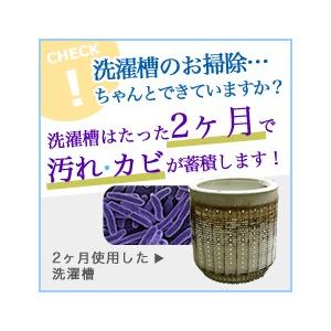 ★洗濯槽快×2袋入(ネットなし)追跡メール カ...の詳細画像3