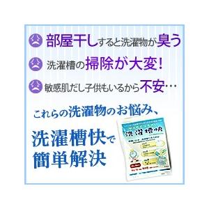 ★洗濯槽快×2袋入(ネットなし)追跡メール カ...の詳細画像4