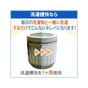 ★洗濯槽快×2袋入(ネットなし)追跡メール カ...の詳細画像5