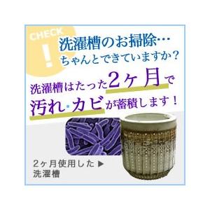 ★ドラム式洗濯機専用 洗濯槽快 詰め替え30g...の詳細画像3