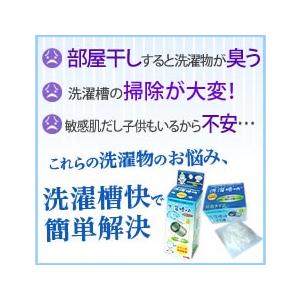 ★ドラム式洗濯機専用 洗濯槽快 詰め替え30g...の詳細画像4