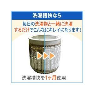 ★洗濯槽快 箱なし12袋セット まとめ買い 追...の詳細画像3