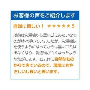 ★洗濯槽快 箱なし12袋セット まとめ買い 追...の詳細画像4