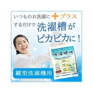 ★洗濯槽快 箱なし12袋セット まとめ買い 追...の詳細画像1