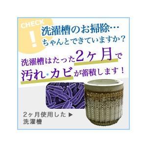★洗濯槽快 箱なし12袋セット まとめ買い 追...の詳細画像2