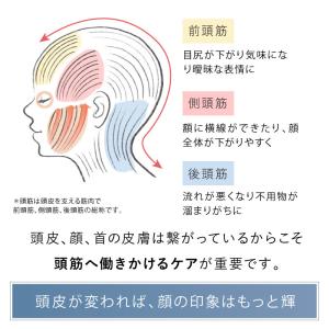 電動頭皮ブラシ コードレス EMS RF温感 ...の詳細画像4