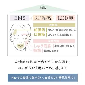美顔器 EMS RF温感 赤色LED 高速タッ...の詳細画像4