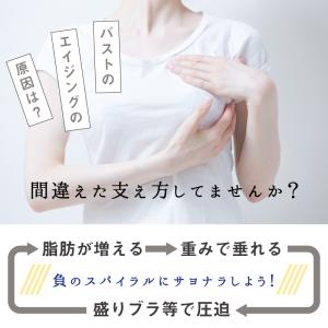 ブラジャー ショーツセット 大きいサイズ ノン...の詳細画像3