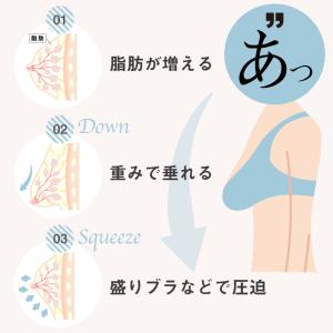 ブラジャー ショーツセット 大きいサイズ ノン...の詳細画像4