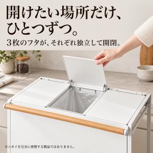 ゴミ箱 分別 3分別 蓋付き キャスター付き ...の詳細画像5