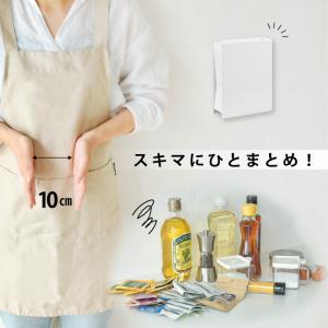 調味料ラック 2段 スリム 調味料ストッカー ...の詳細画像3