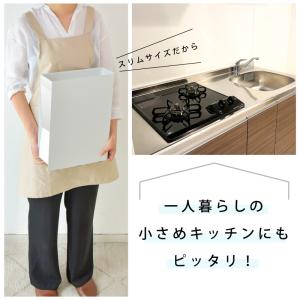 調味料ラック 2段 スリム 調味料ストッカー ...の詳細画像5