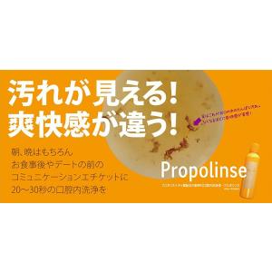 プロポリンス 洗口液 マウスウォッシュ 600...の詳細画像2