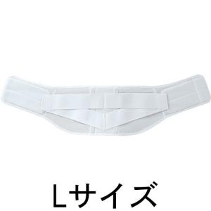 アルケア株式会社 サクロワイド・DX 補助ベルト付腰部固定帯 Lサイズ