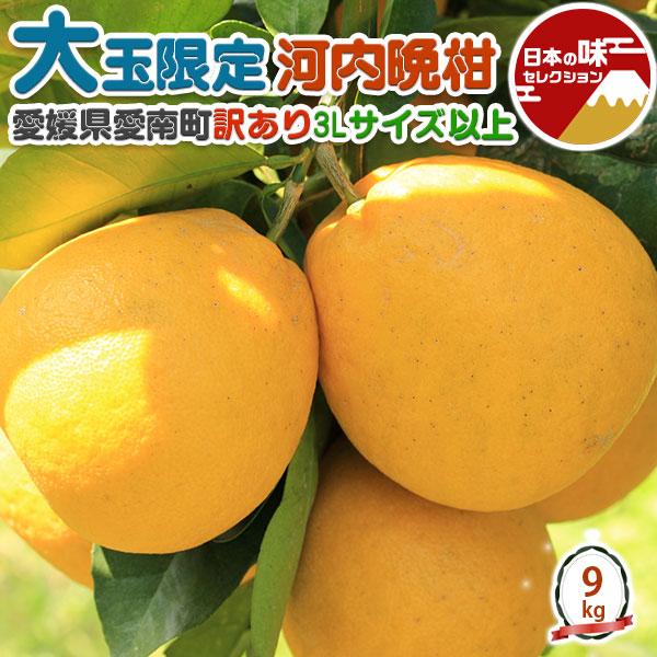 愛媛 訳あり 河内晩柑 大玉限定 BIG 9kg 3Lサイズ 以上 お任せ 甘い かわちばんかん 宇...