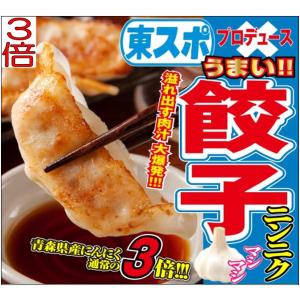 TVで紹介 東スポ餃子 1パック 1.1kg ...の詳細画像1