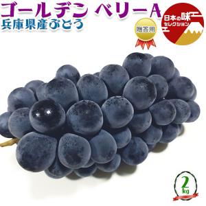 ぶどう 兵庫県産 ゴールデン ベリーA 贈答用 1箱 2kg JAの正規品 葡萄 黒ぶどう クール便 果物 フルーツ プレゼント お中元 ギフト ギフト広場