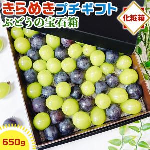 お中元 ぶどう きらめきプチ 650g 化粧箱 ぶどうの宝石箱 ジュエルボックス シャインマスカット 巨峰 ピオーネ 福岡 岡山 山梨 夏にも クール便 ギフト広場