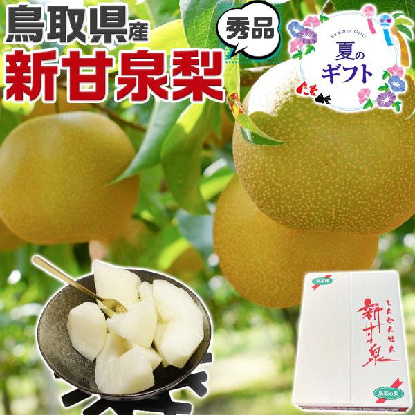 早期 予約品 クール便指定 鳥取県産  梨 新甘泉梨 秀品 5kg 10〜16玉入  糖度14度前後...