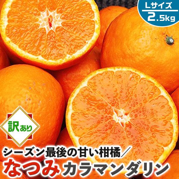 なつみ みかん 訳あり 2.5kg Lサイズ 愛媛県産 高糖度 柑橘 シーズン最後の甘い系みかん 果...