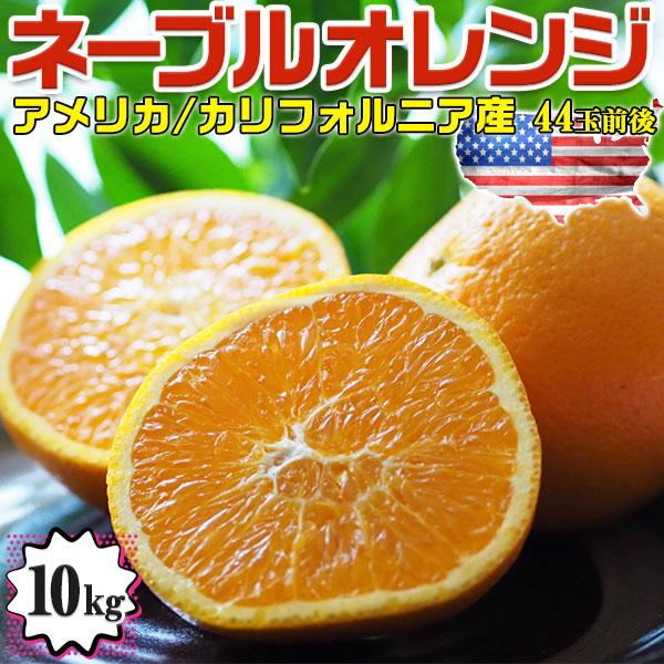 オレンジ 高糖度 ネーブルオレンジ 10kg 44玉前後 糖度保証 アメリカ カリフォルニア州産 お...