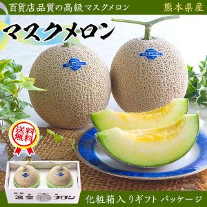 マスクメロン メロン 2玉 1.5kg×2 メロン 贈答用 果物の王様